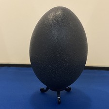Emu Egg On black Stand 14cm