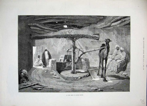 Original old antique print - old,