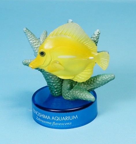 Kaiyodo enoshima aquarium - enoshima,