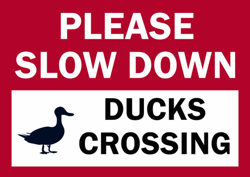 Please slow down duck crossing