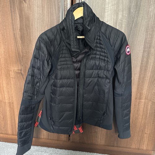 Canada goose hybrid - canada,