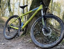 Boardman MHT 8.6 Men's