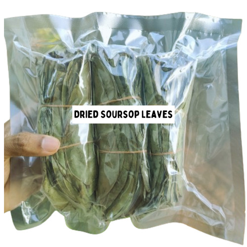 Dried soursop leaves - dried, herbal
