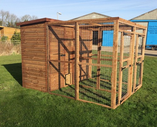 Dog run double enclosure - dog,