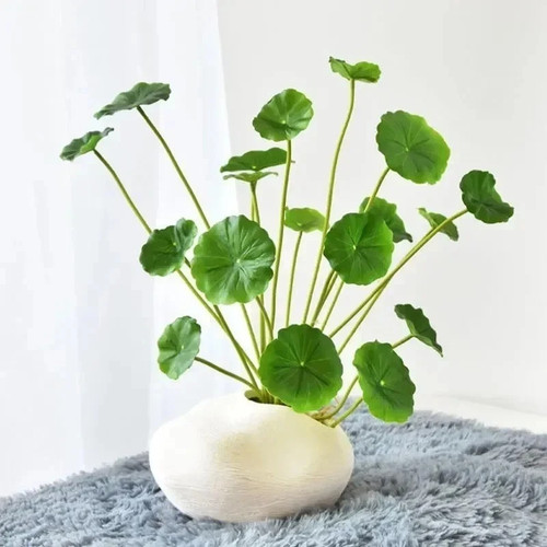 Artificial lotus eucalyptus - lotus,