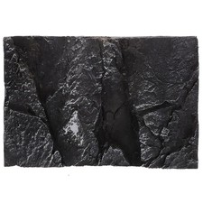 Reptile Background for