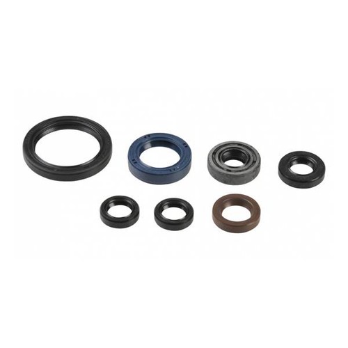 Engine oil series gas - gas, ecf