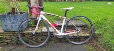 Specialized Dolce Women's 51cm