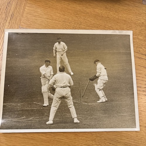 Real vintage cricket photo - cricket,