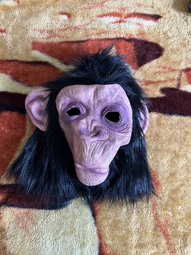 Costume gorilla monkey - gorilla, animal