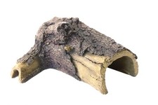 Komodo Reptile Tunnel Den