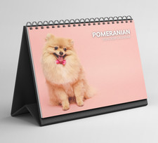 Pomeranian Desk Calendar 2026-2027: Standing Flip Desktop Calendar