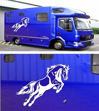 HORSE BOX GRAPHICS STICKERS