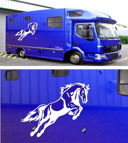 Horse box graphics stickers - graphics,