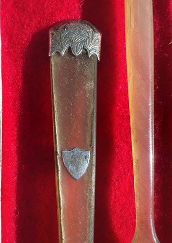 Antique scottish horn - antique, mustard
