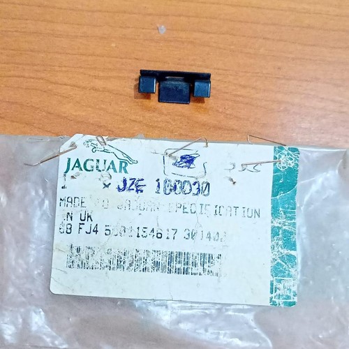 Jaguar special spring - special, clip