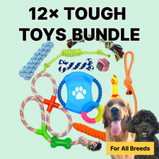 12xTough toys for