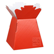 Red Living Vases Flower