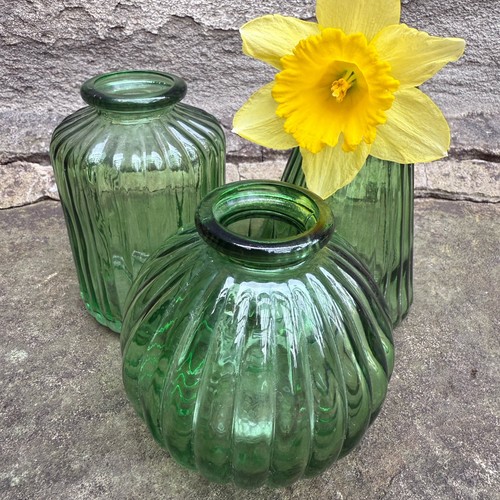 Sass belle small green - belle,