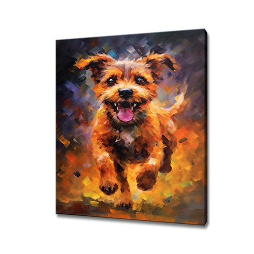 Border terrier dog - terrier, colourful