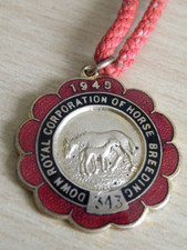 RARE 1949 DOWN ROYAL RACE CLUB