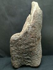 UNIQUE DRIFTWOOD THICK PIECE OF TREE WITH WEATHERED BARK COASTAL FIND SCULPTURE