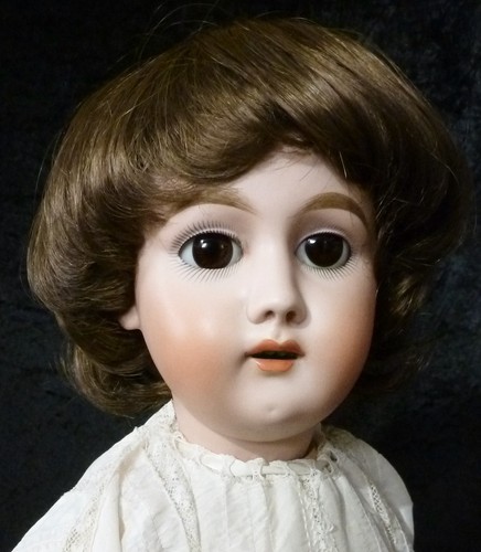 36cm doll wig - /, for