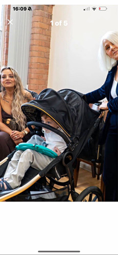 Baby jogger summit - baby, robin