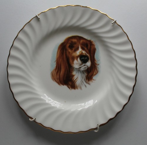 Vintage springer spaniel - springer,
