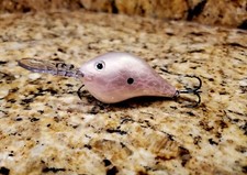 Custom Painted Rapala DT-8