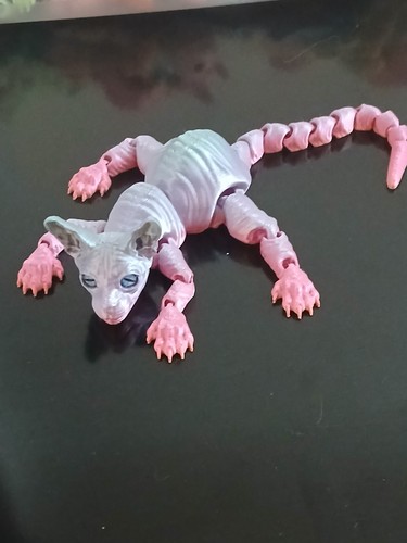 Sphynx cat sphinx printed - cat,