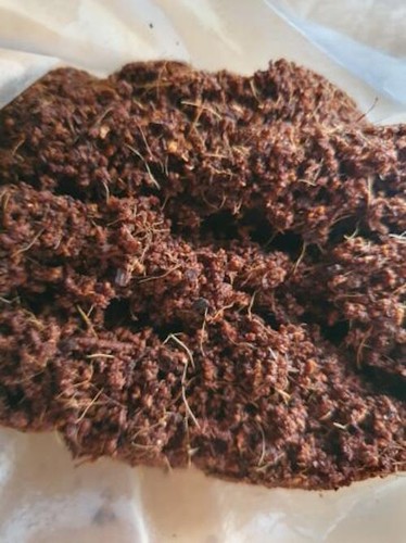 Vivarium substrate coco - coco, coir