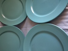 Dudson Artisan Dinner Plates x