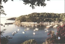 FISHGUARD, LOWER TOWN, Wales - Vintage POSTCARD