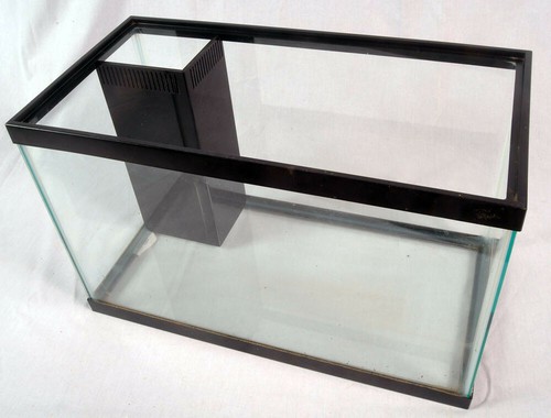 Aquarium corner and - corner,