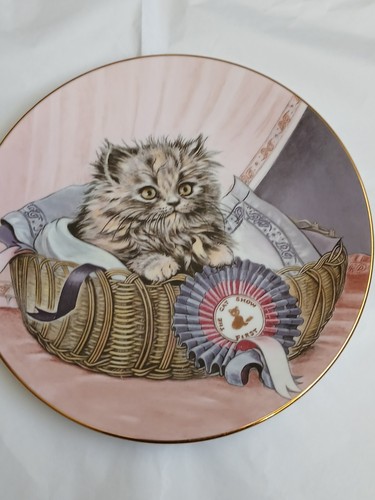 Royal worcester kitten - royal,