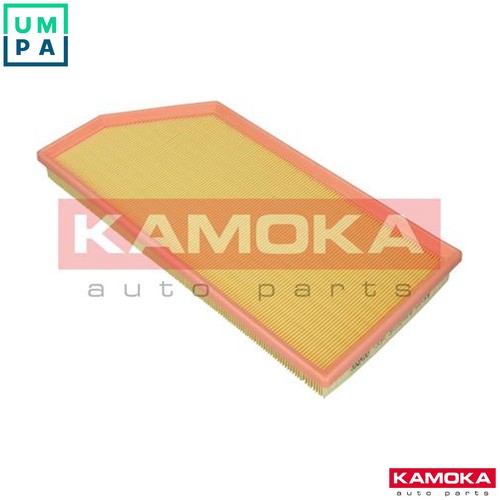 Air filter f243801 for - filter,
