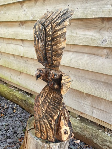 Chainsaw carved eagle - chainsaw,