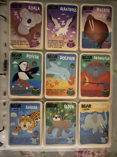 Full set bear - set, cards