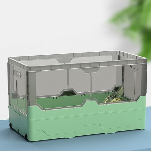 Turtles tank aquarium - aquarium, hermit