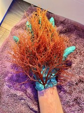 Red Ogo Marine Macro Algae - Gracilaria Parvispora For Planted Display, Refugium