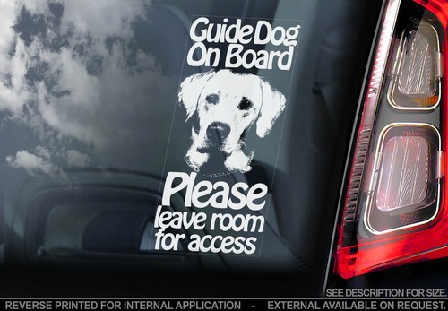 Guide dog car - dog,