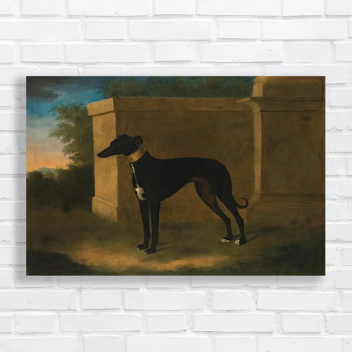 Elegant greyhound original - greyhound,