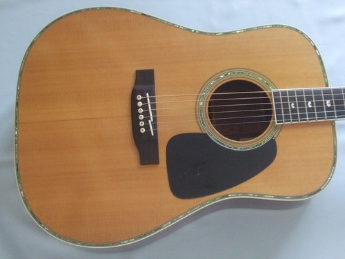 Takamine tss acoustic - takamine, tss-20