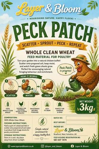 3kg whole wheat forage - 3kg,