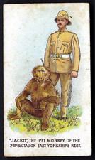 WILLS (SCISSORS) - REGIMENTAL