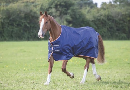 Bnwt shires typhoon standard - bnwt,