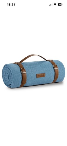 Picnic blanket person - picnic,