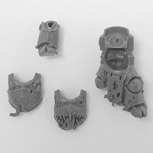 Chaos space marine death guard - marine,