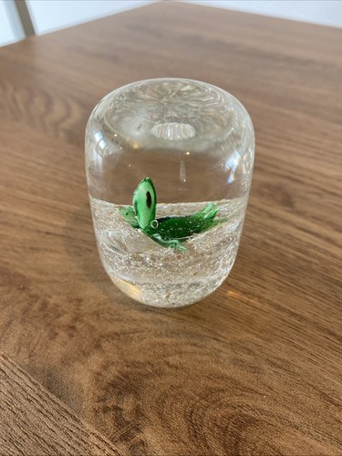 Unusual vintage turtle - unusual, glass